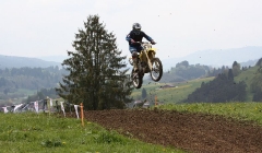 court 2010  142