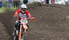 court 2010  195