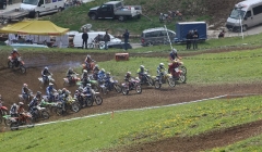 court 2010  219