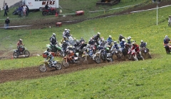 court 2010  223