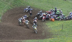 court 2010  227