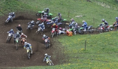 court 2010  228