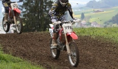 court 2010  244