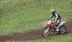 court 2010  263