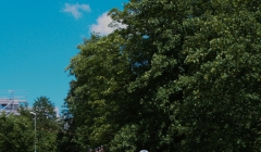 ntdirtjam_kronenwiese_2012__84